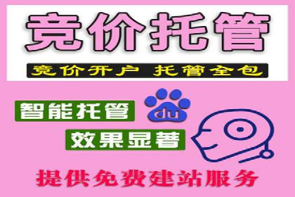 百度竞价广告与自然搜索排名的结合策略案例